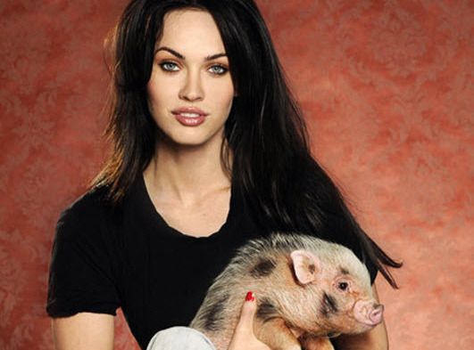 ТОП-10 найбільш зоряних тварин ТОП-10 найбільш зоряних тварин